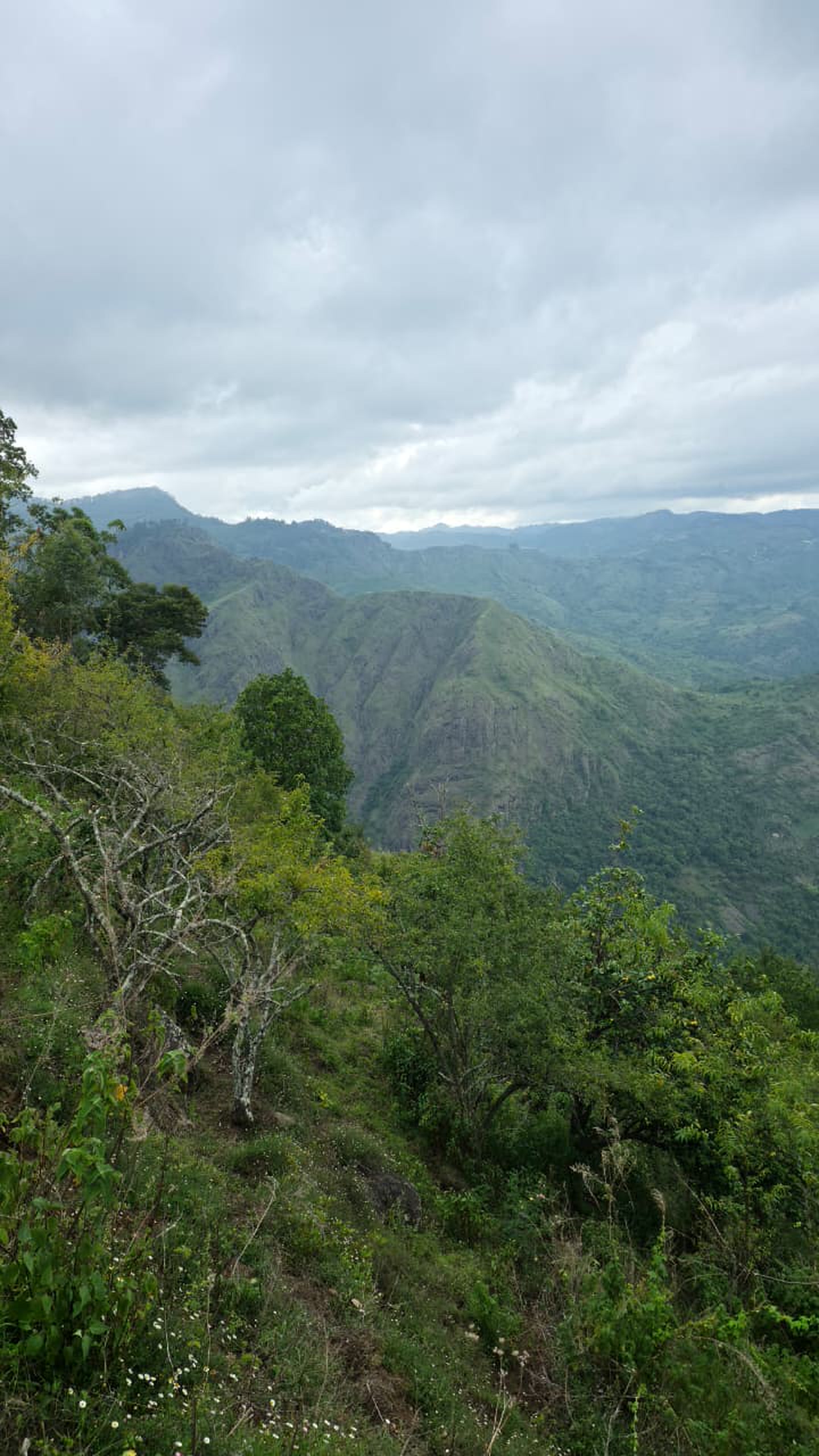 Actual mountain view from the project land